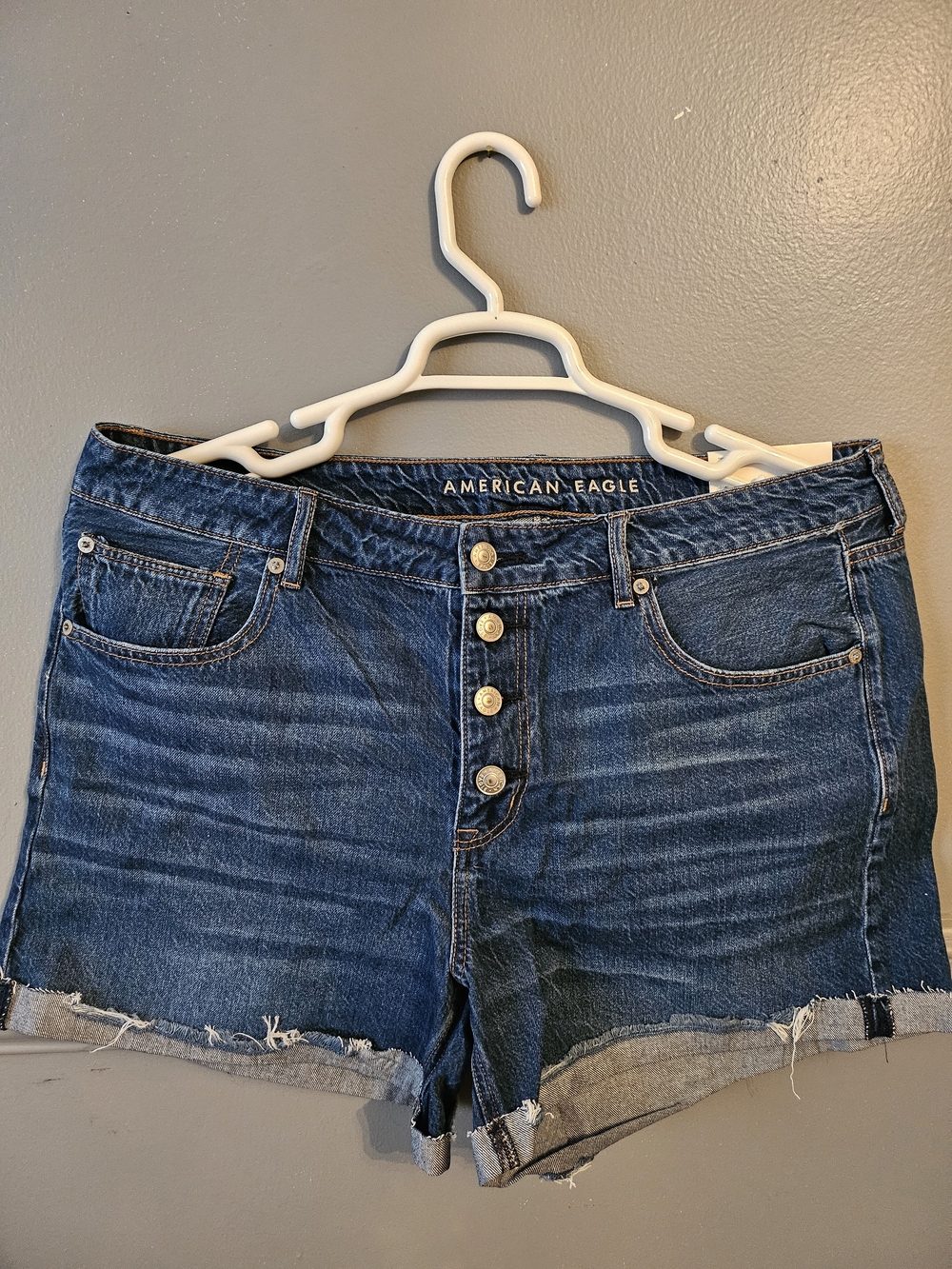American Eagle Outfitters Dark Indigo Button-Front Denim Shorts